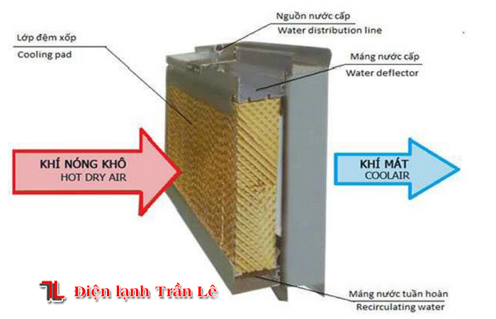 co-nen-mua-quat-hoi-nuoc-gia-re-1