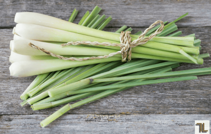 Top 10+ cách khử mùi tủ lạnh hiệu quả và đơn giản nhất 6 20220628 62ba71fc36680