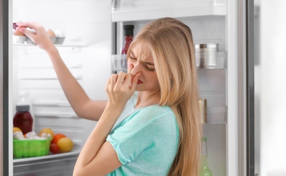10 Cách Khử Mùi Hôi Cho Tủ Lạnh Đơn Giản, Rẻ Bèo Ngay Tại Nhà 1 nguyên nhân khiến tủ lạnh có mùi hôi