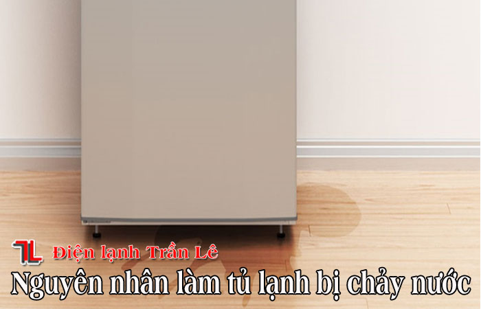 Nguyen-nhan-lam-tu-lanh-bi-chay-nuoc-1